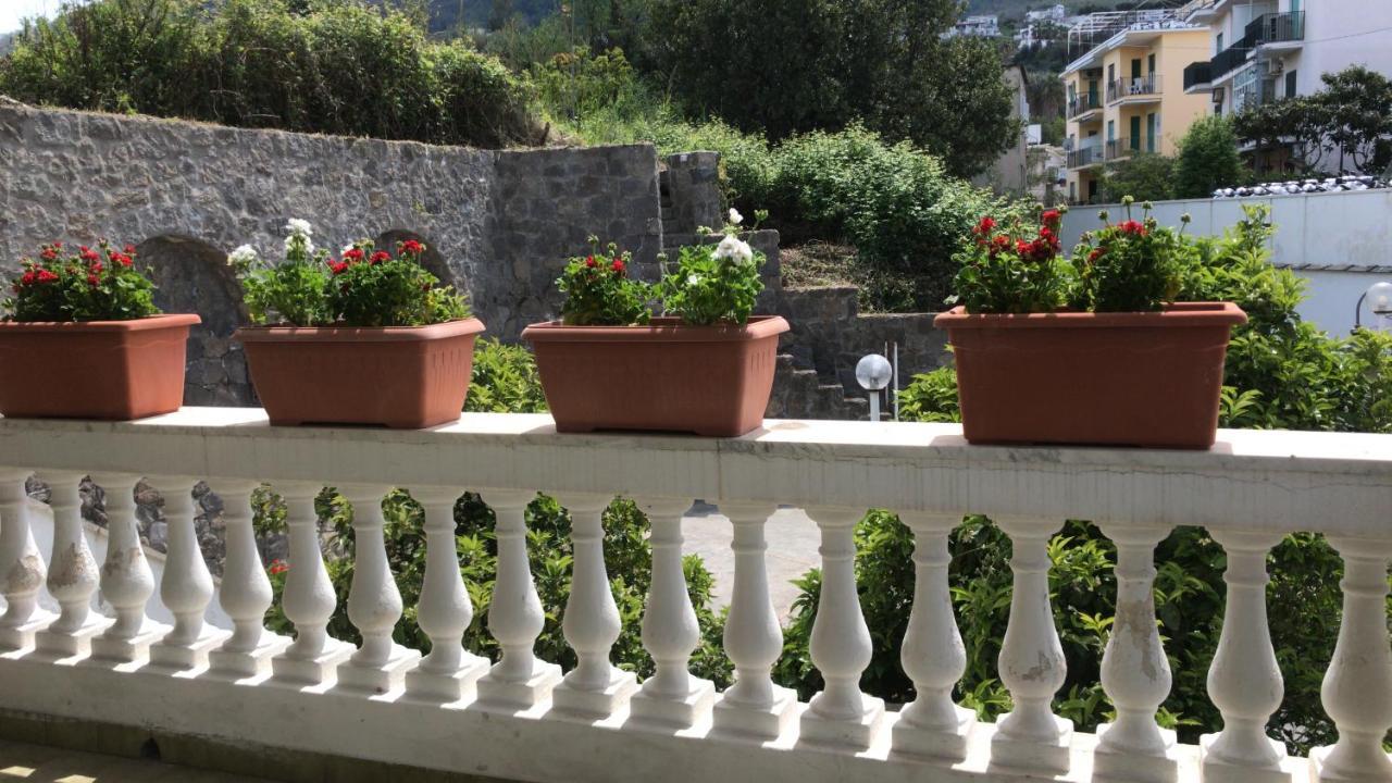 Villa Martina Suite Apartament Lacco Ameno  Exterior photo